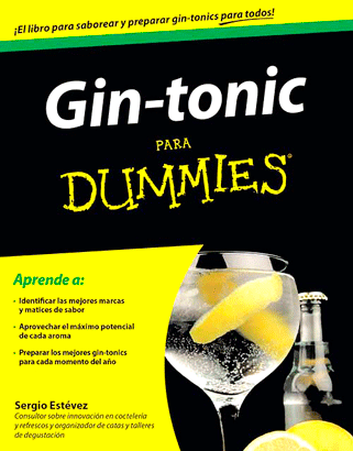 Gin-tonic-para-dummies