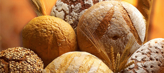 I Simposio del Pan, en torno a un alimento milenario