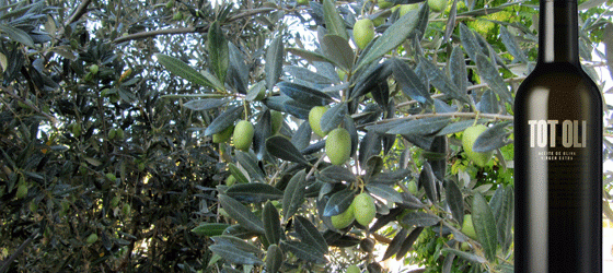 Tot Oli: arte de oliva virgen extra