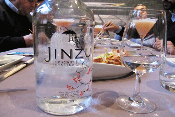 Jinzu-DEST